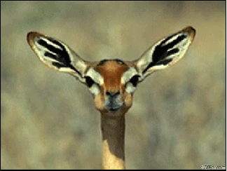 Seriously, is there anyone out there?