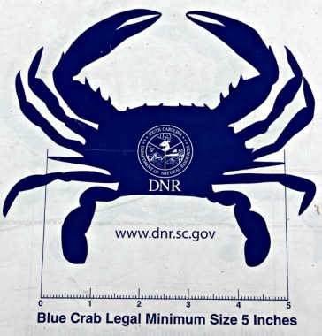 How to legally measure a crab.