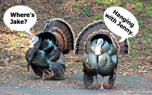 JakeJenny