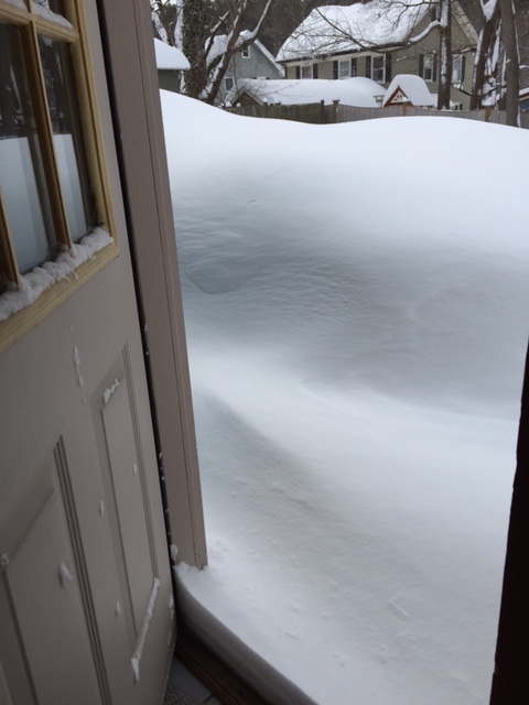 A friend sent me this picture of her house/yard. She didn't once use the words pure or driven.