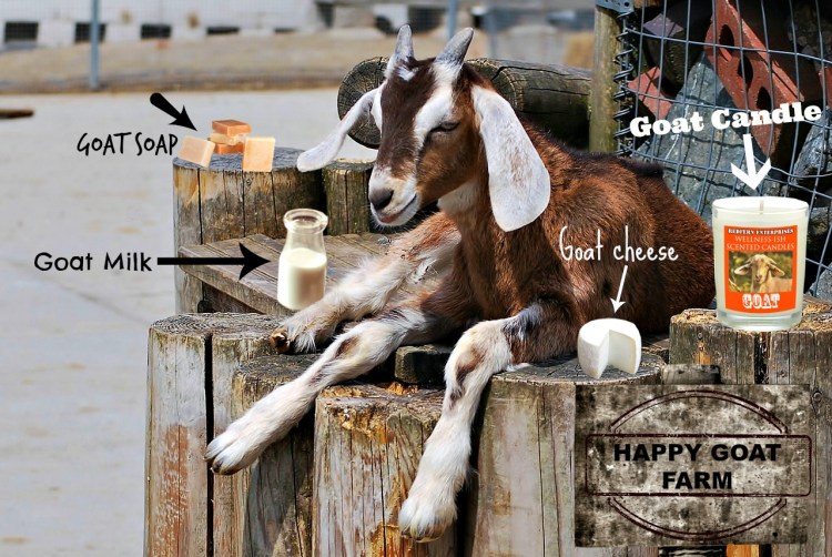 Goat Farm Dream. You'd smile too if you could make all these products.